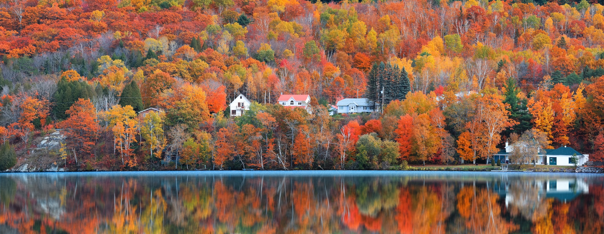 Canadian cottages in the trees bearing fall leaves along the shore, new Pleasure Craft License rules concept. 