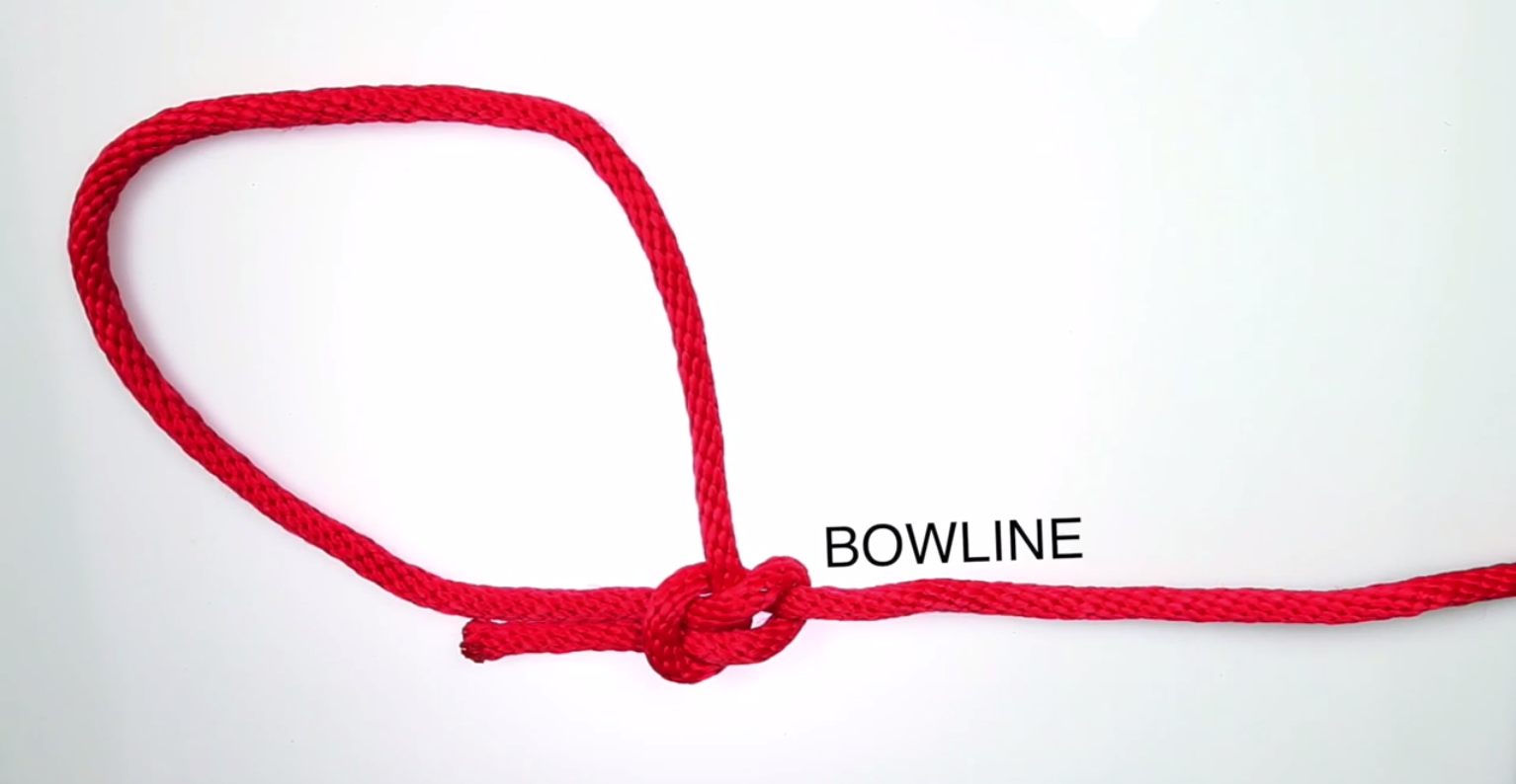 An illustration of the bowline knot, how to tie a boat knot concept. 