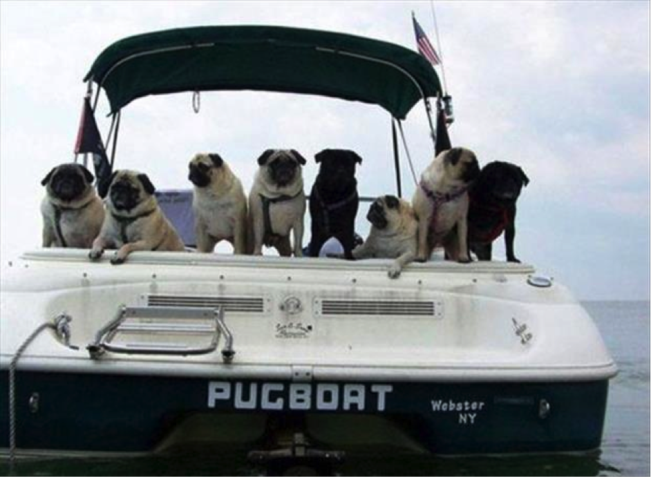 pug boat