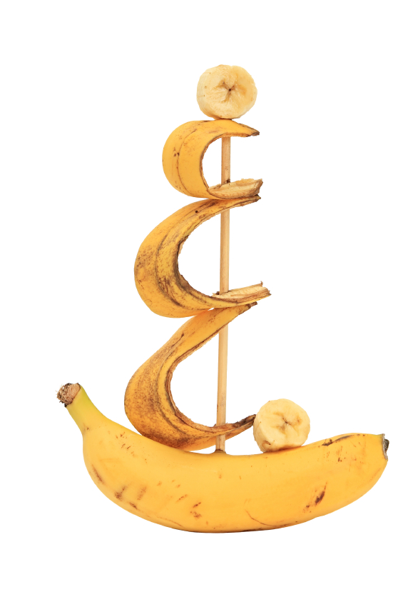 The Mystery of Bananas: Why are they bad luck on a fishing boat? Chemical composition and decay of bananas