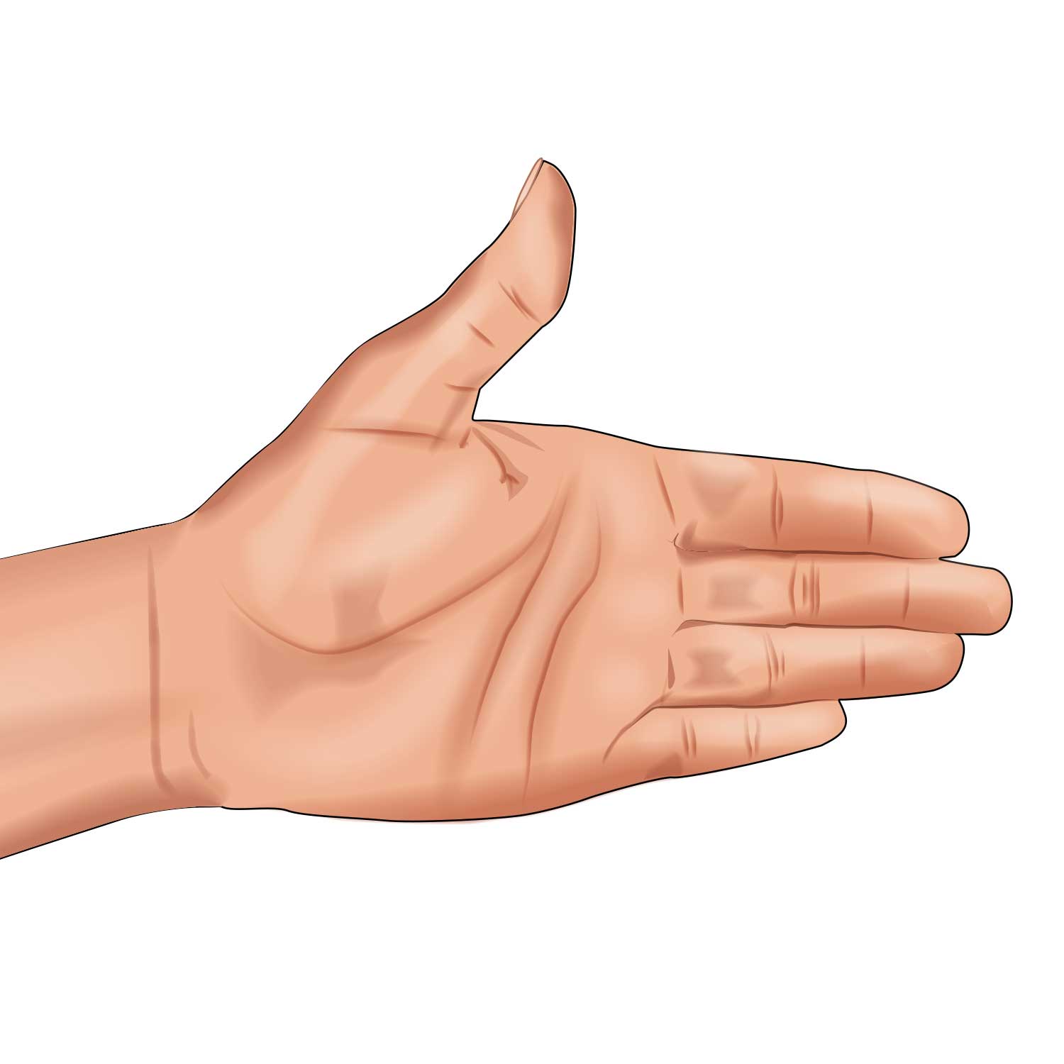 Hand Signal-Turn Left